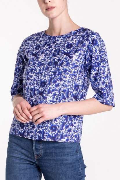 Blue top with sleeves