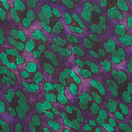 Green and Violet Color Animalier