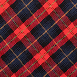 Tartan Rosso e Blu